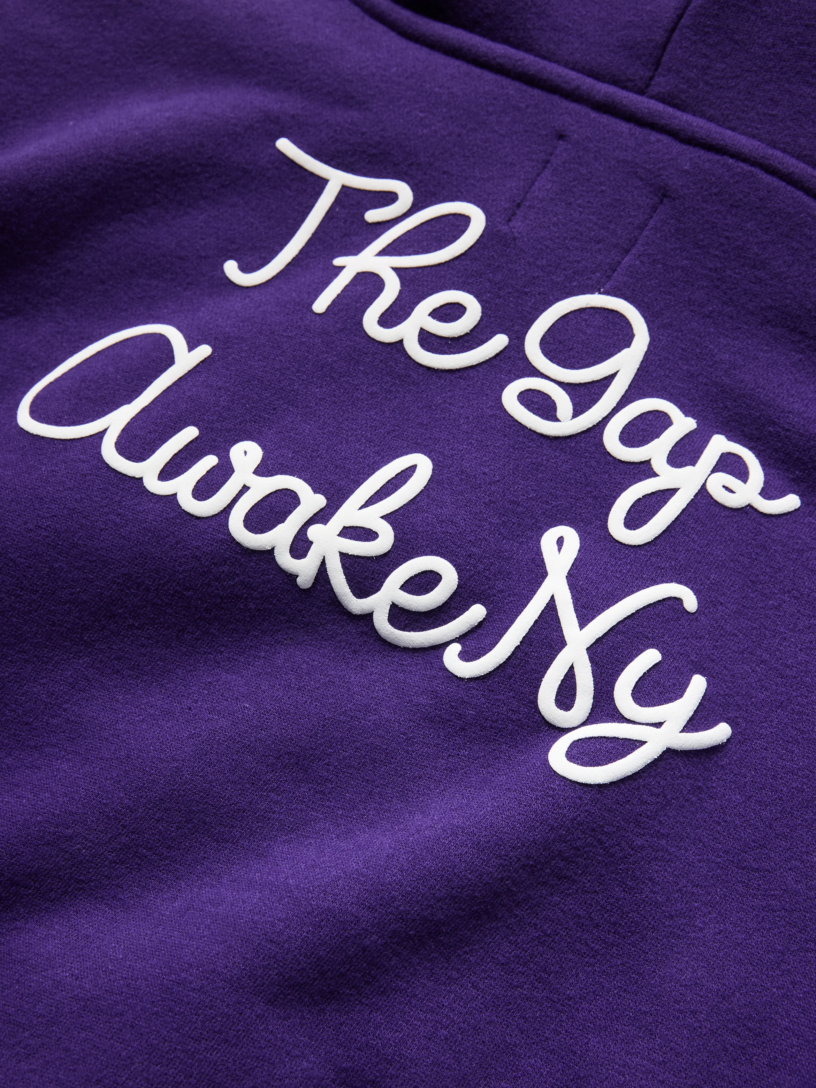 AWAKE x GAP KIDS HOODIE - Image 3
